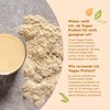 Vegan Protein - MANGO - Vegetable Protein Powder from Sprouted