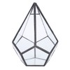 Stylish Geometric Shape Flowerpot Glass Plant Planter Succulent Plants Container