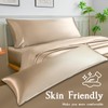 LIFCOM Satin Pillowcase for Hair and Skin,Body Champagne 20x54 Inches