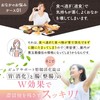 [指定医薬部外品] ピュアサポート 整腸消化錠 [乳酸菌 糖化菌 配合 整腸剤] [腸活 腸内フローラ改善] 便秘