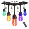 LumeGen 48ft Color Changing S14 String Light with 15 E26