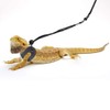 POLKASTORE Bearded Dragon Harness and Leash Adjustable(S,M,L, 3 Pack) -