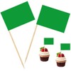 100 Pcs Green Flag Blank Toothpick Flag Small Mini Labeling
