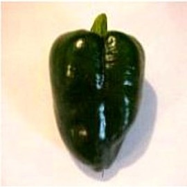 Ancho Mulato Hot Peppers Seeds (25 Seeds) Pepper Seeds for Planting, Greenhouse, Patio, Lawn & Garden