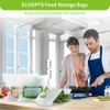 100% Compostable Large Gallon Zip Bag | ECO-Friendly Food Storage