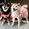 ANIAC Floral Dog Dress with D-Ring Dog Dresses for Small