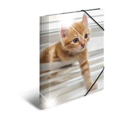 HERMA Collector's Folders A4 Cat Set of 3 Children's Plastic Corner Folder with Animal Motif, High Gloss Look, Elastic Band, Inner Flaps and Inner Print for Boys and Girls