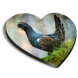 1x Heart MDF Magnet 6cm - Capercaillie Bird Wildlife Nature Forest - Fridge Locker Office Whiteboard Toolbox #50454
