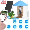 iMounTEK Smart Bird Feeder with 4MP HD Camera AI Recognition