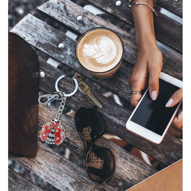 Puzzled Ladybug Sparkling Charm Elegant Keychain