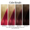 Adore Semi Permanent Hair Color (068 Crimson) | Vegan &
