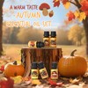 Soulorigin Autumn Fragrance Oils Set, Essential Oil for Diffuser, Fall