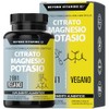 Citrato Magnesio Potasio 1334 Adicionados Platano Polvo Curcuma Arroz Cápsulas