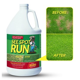 See Spot Run Eliminate Yellow Spots On Your Lawn Caused by Dog Urine | All-Natural, Safe for Pets and Humans | Made in The USA | Ready-to-Mix Gallon (128 oz)