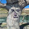 3D Resin Old Man Tree Face Yard Art Decorations, Funny