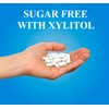 ColFresh Sugar Free Chewing Gum with Xylitol, Peppermint Flavor, 1