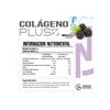 Colágeno Hidrolizado Ácido Hialurónico Glucosamina 500g Nano