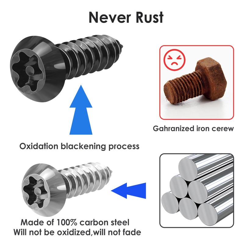 Anti-Theft License Pla te Screws Kits- Stainless Steel Plate Mounting