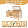 Solid Wood Chicken Brooder Box with Lighting Kit & Thermometer