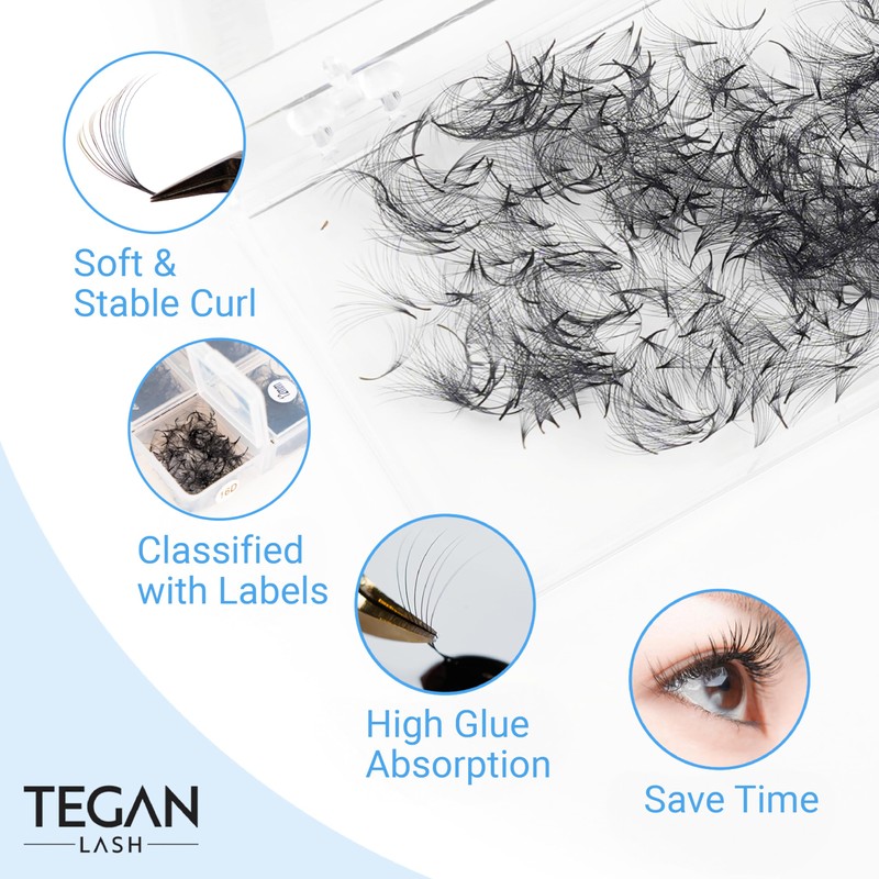 Tegan Lash 500 Extensiones De Pestañas Promade Fans Volume, Pestañas