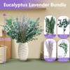 DTXMOH Shower Plant, 67 Stems Dried Eucalyptus and Lavender Bundle