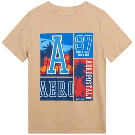 AEROPOSTALE Boys Graphic Tee - Short Sleeve Crew Neck Jersey Pullover Graphic Tees for Boys Youth Kids Tshirt (Sizes: 8-16), Size 14/16, Ginger