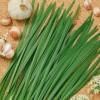 Garlic Chive Seeds | Organic | NON-GMO | Heirloom |