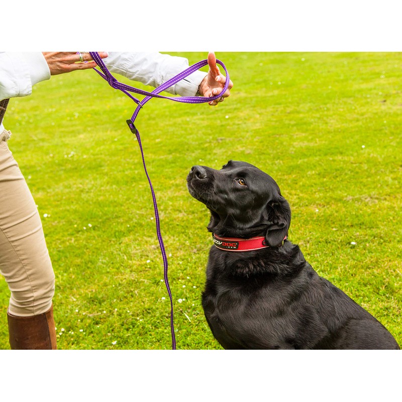 Gencon Clip To Collar Right Red/Black