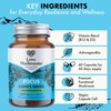 Love Mushrooms – Lion’s Mane Plus Ashwagandha Capsules | Cognitive