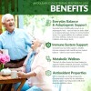 Terraform Nutrition Gynostemma Pentaphyllum Supplement – 98% Gypenoside Extract (20:1)