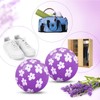 SCENTORINI Sneaker Deodorizer Balls 6 Pack, Lavender Scent Shoe Balls