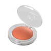 LECIEL WET&DRY SOLO EYESHADOW 360