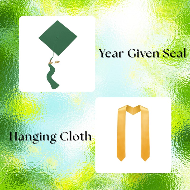 TOONRAIN Graduation Cap and Gown 2026 Matte Graduation Costume Tassel