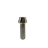 RISON Titanium Bolts M6 x 1.0 x 22 mm Conical