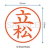 シャチハタ 印鑑 ハンコ ネーム9 XL-9 印面9.5ミリ 立松