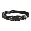 Lupine Dog Collar 1" Wide Bling Bonz Adjusts from 12"