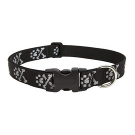 Lupine Dog Collar 1" Wide Bling Bonz Adjusts from 12" to 20"