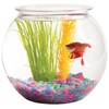 Aquatic Wonder 1 Gallon Fish Bowl: Round Crystal Clear Plastic