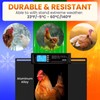 Extra Large Automatic Chicken Coop Door Solar Powered with Remote