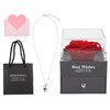 Necklace with Rose Gift Box Exquisite Appearance Preserved Flower Gift