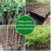 Genérico Bolsas para vivero pequeñas (15x15)