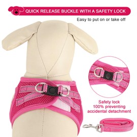 YIMEIS Dog Harness and Leash Set, No Pull Soft Mesh Pet Harness, Reflective Adjustable Puppy Vest for Small Medium Large Dogs, Cats (Rose Red, Small (Pack of 1)