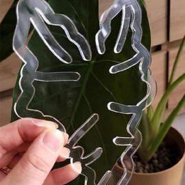 Pflanzenstützklammer-Set, Unsichtbare Pflanzenklammer aus Acryl in Schildpattoptik mit Festem Halt für Kletterpflanzen für Blumen und Gemüse (Blatttyp)