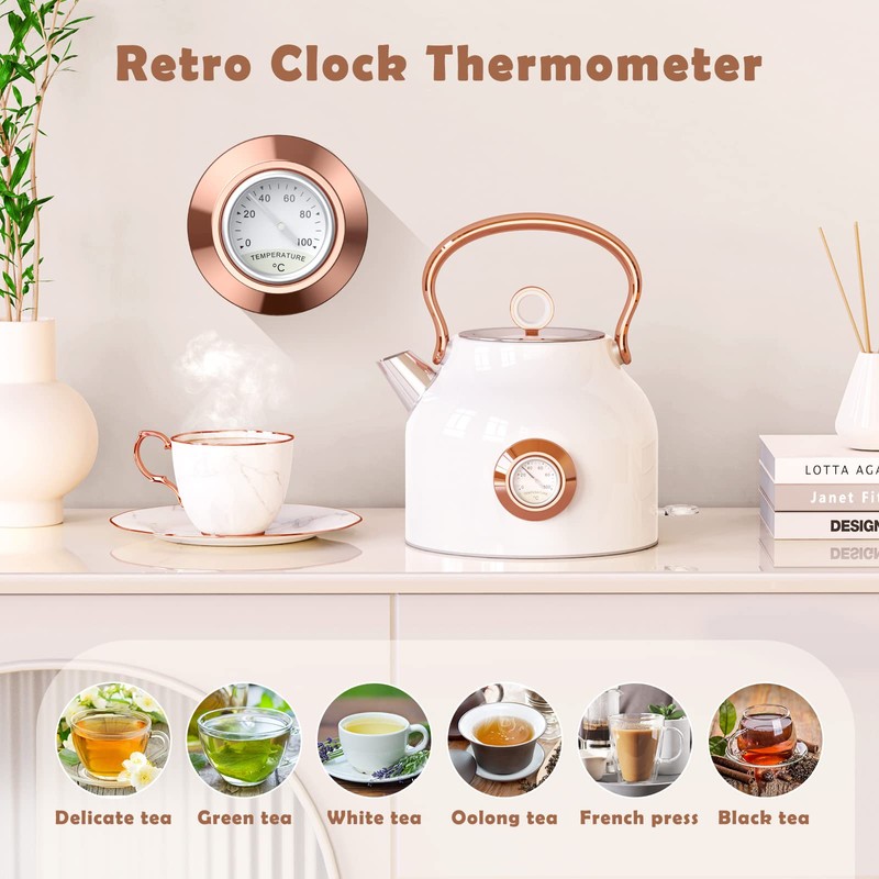 Retro Electric Kettle, 1.7L Stainless Steel Tea Kettle with Large