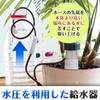 Beauty PLAYER Water Supply Cap, Plants, Set of 12, Japanese