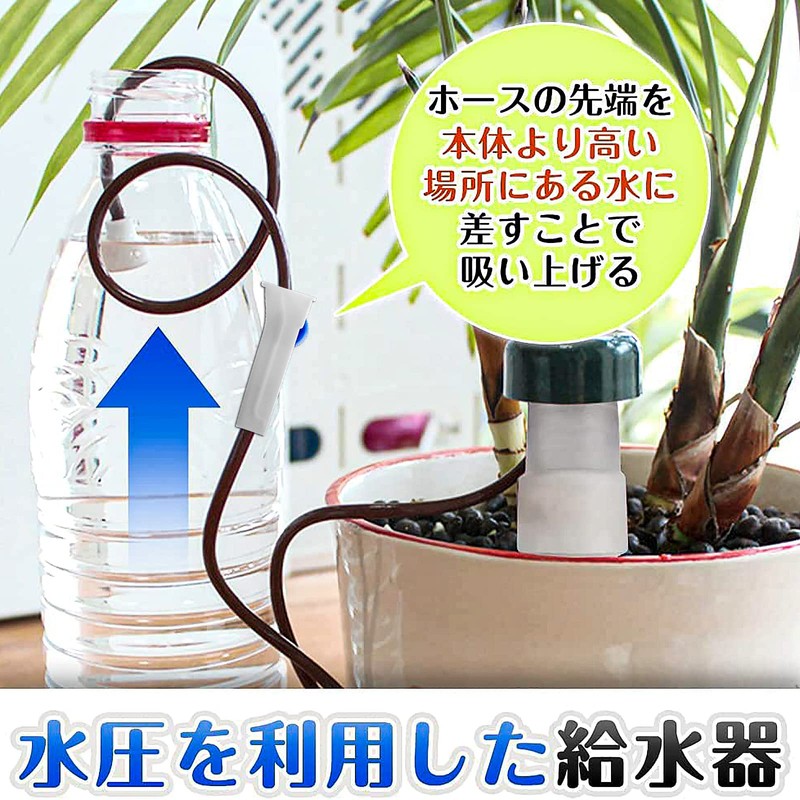 Beauty PLAYER Water Supply Cap, Plants, Set of 12, Japanese
