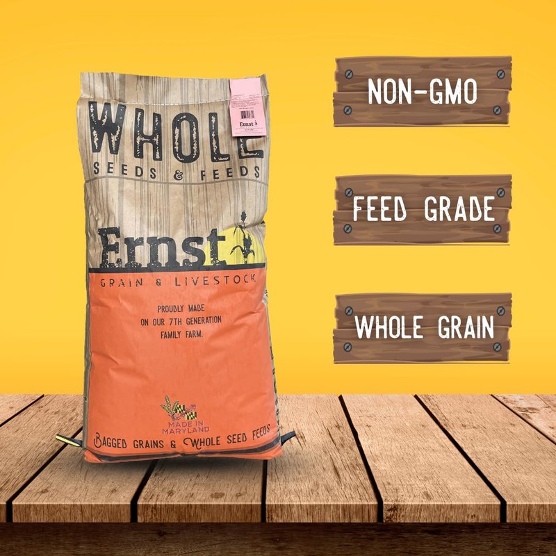 Soft Red Wheat Berries – Non‑GMO Feed Grade – 46