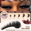260D Lash Clusters Mega Volume Lash Extensions 10-18 MM
