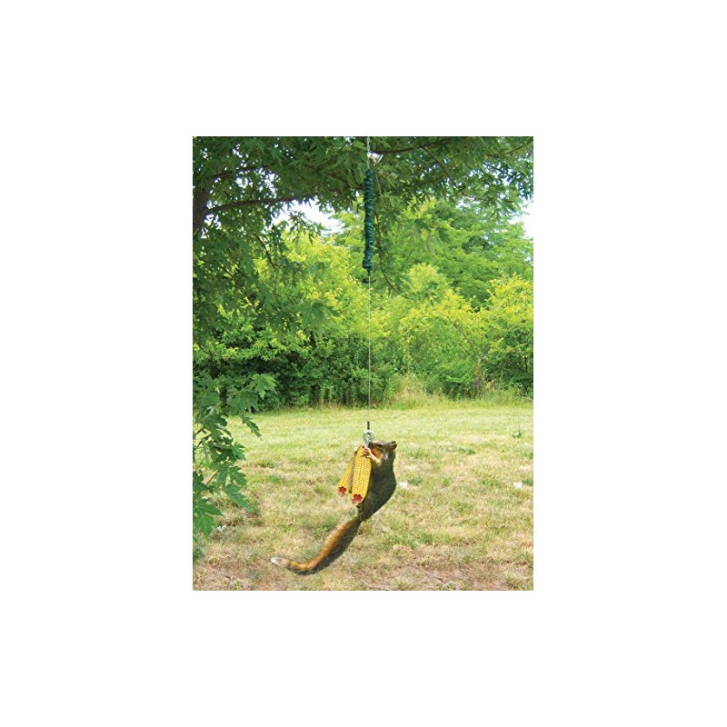 Songbird Essentials Squngee Squirrel Feeder, Amusing Bungee and Bell Squirrel