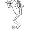'Tree Frog' Rubber Stamp - Unmounted Design for Crafting &
